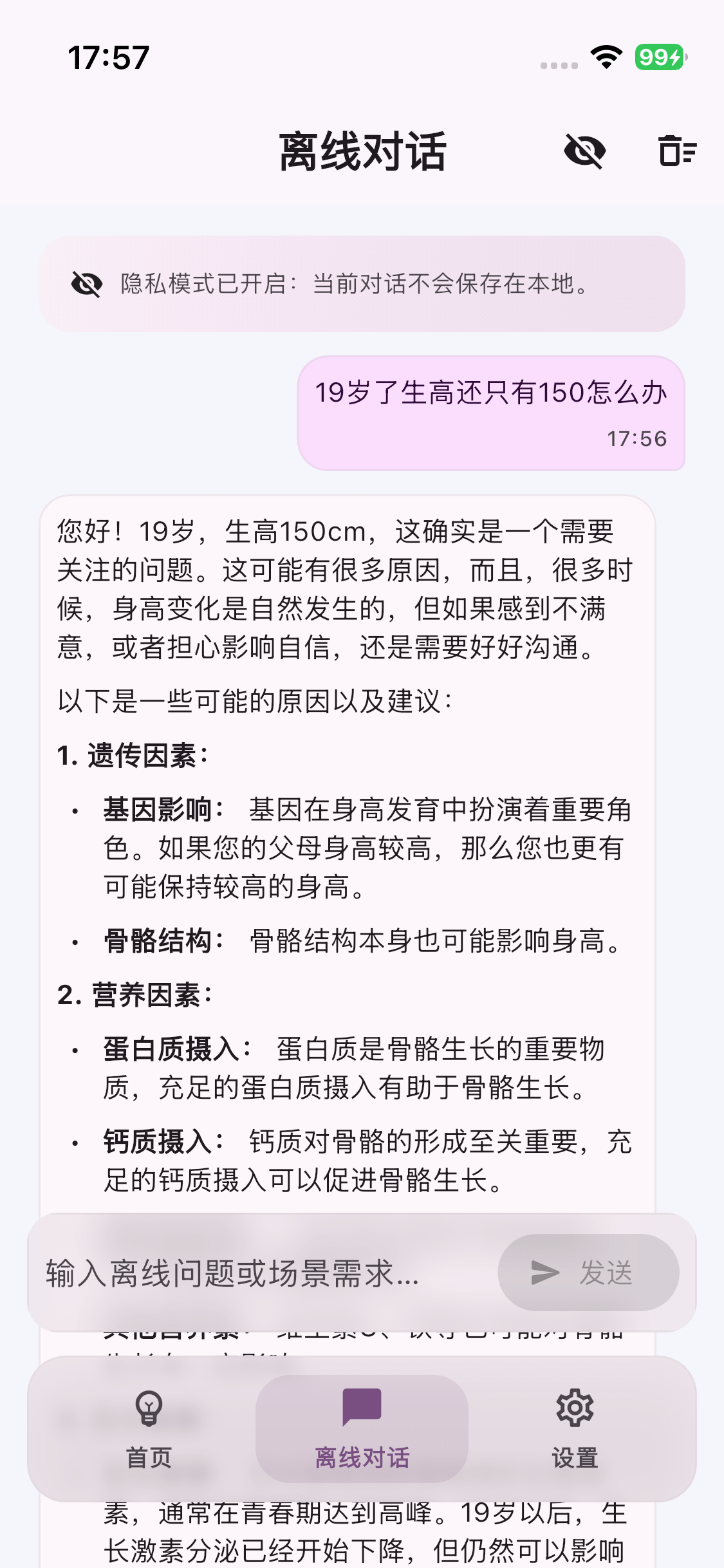 离线 AI 助手 中文截图 1