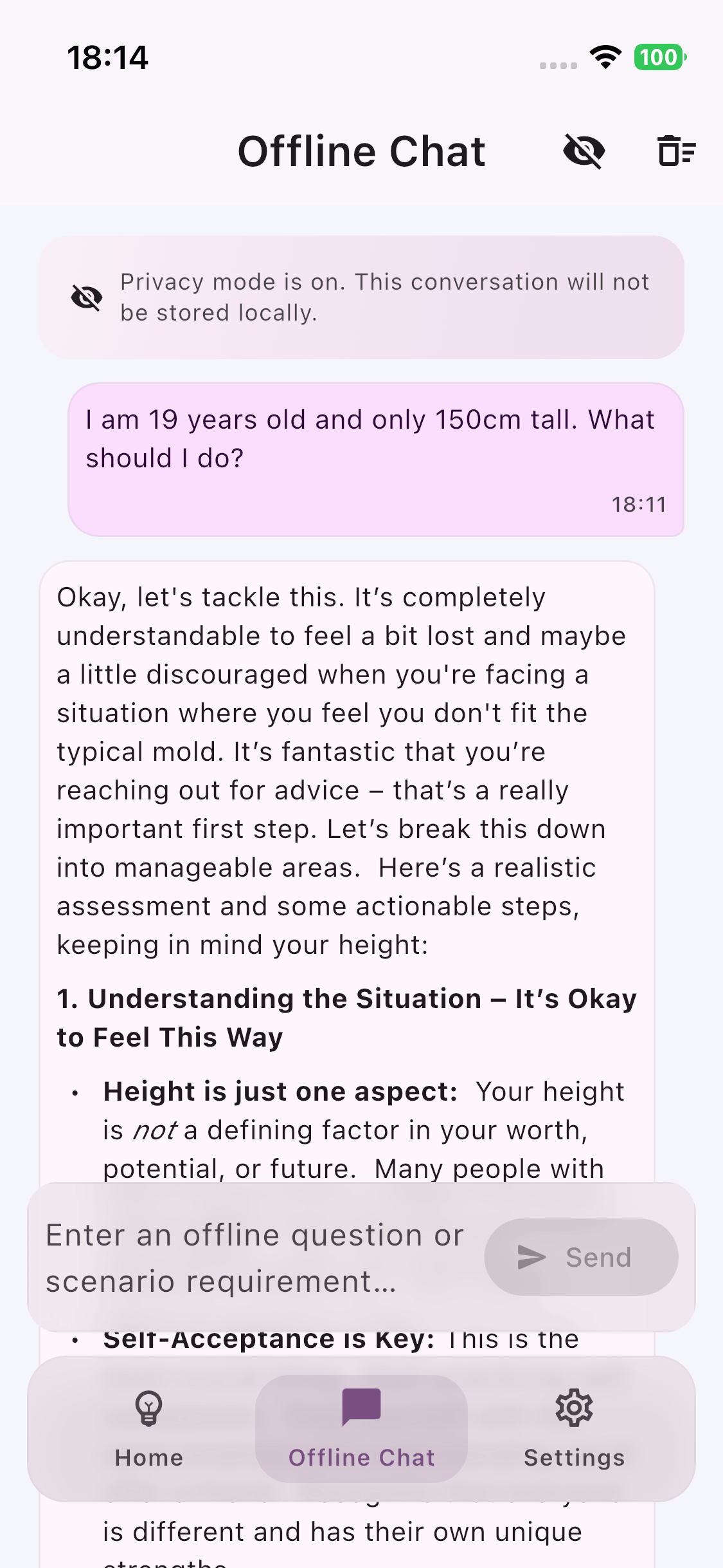 Offline AI Assistant English Screenshot 1